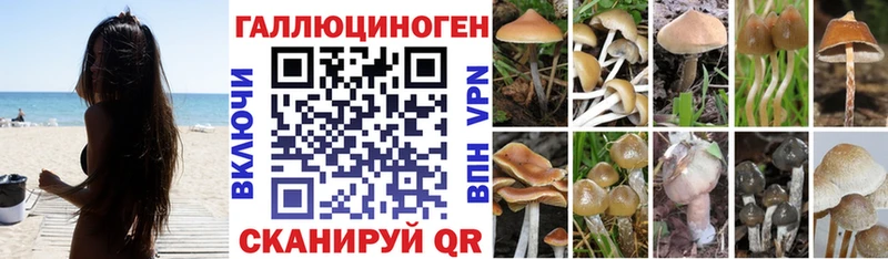Галлюциногенные грибы Cubensis  Заводоуковск 