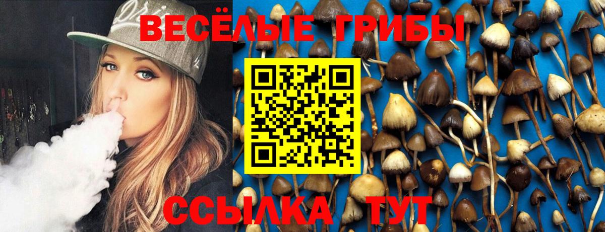 Псилоцибиновые грибы Psilocybe  Вход с VPN  Галлюциногенные грибы Psilocybe  Заводоуковск 